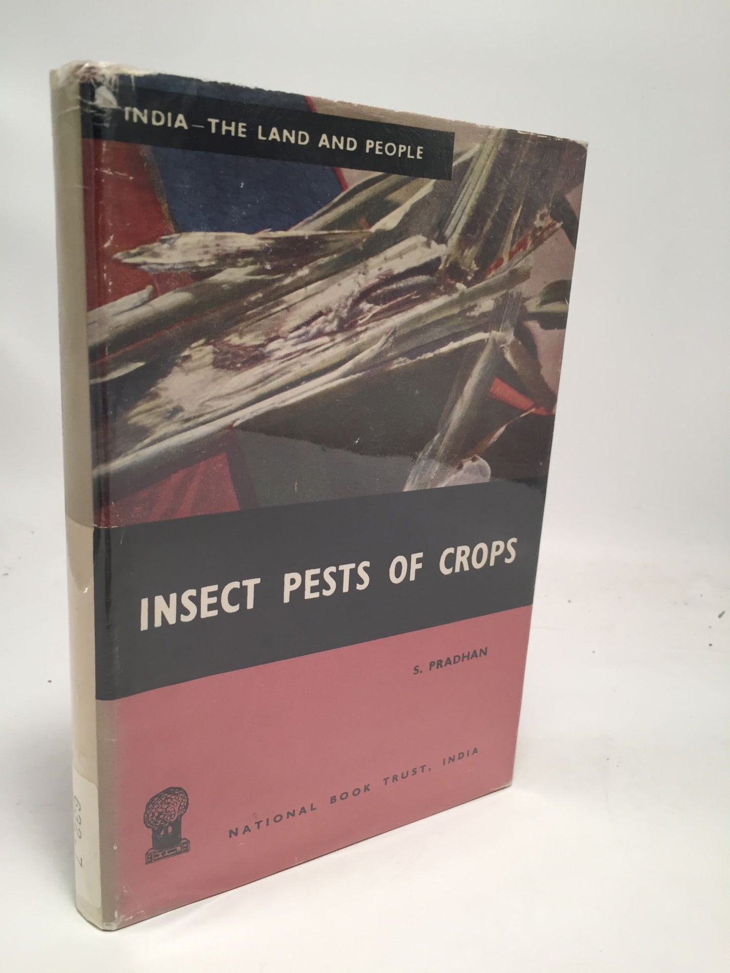 Insect Pests of Crops