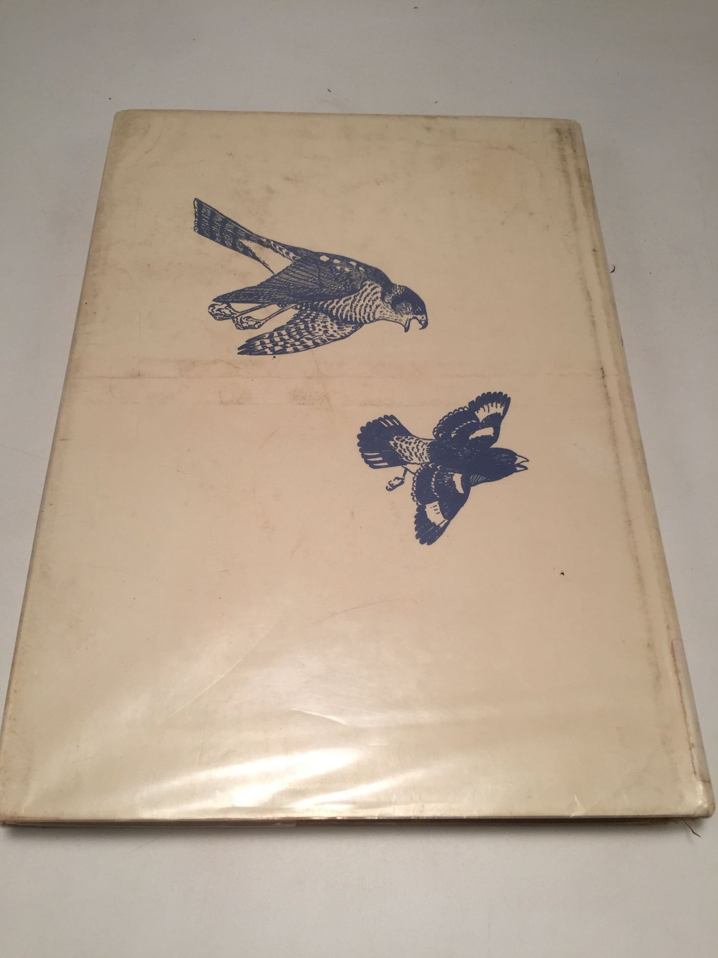 Birds of Prey of Northeastern North America