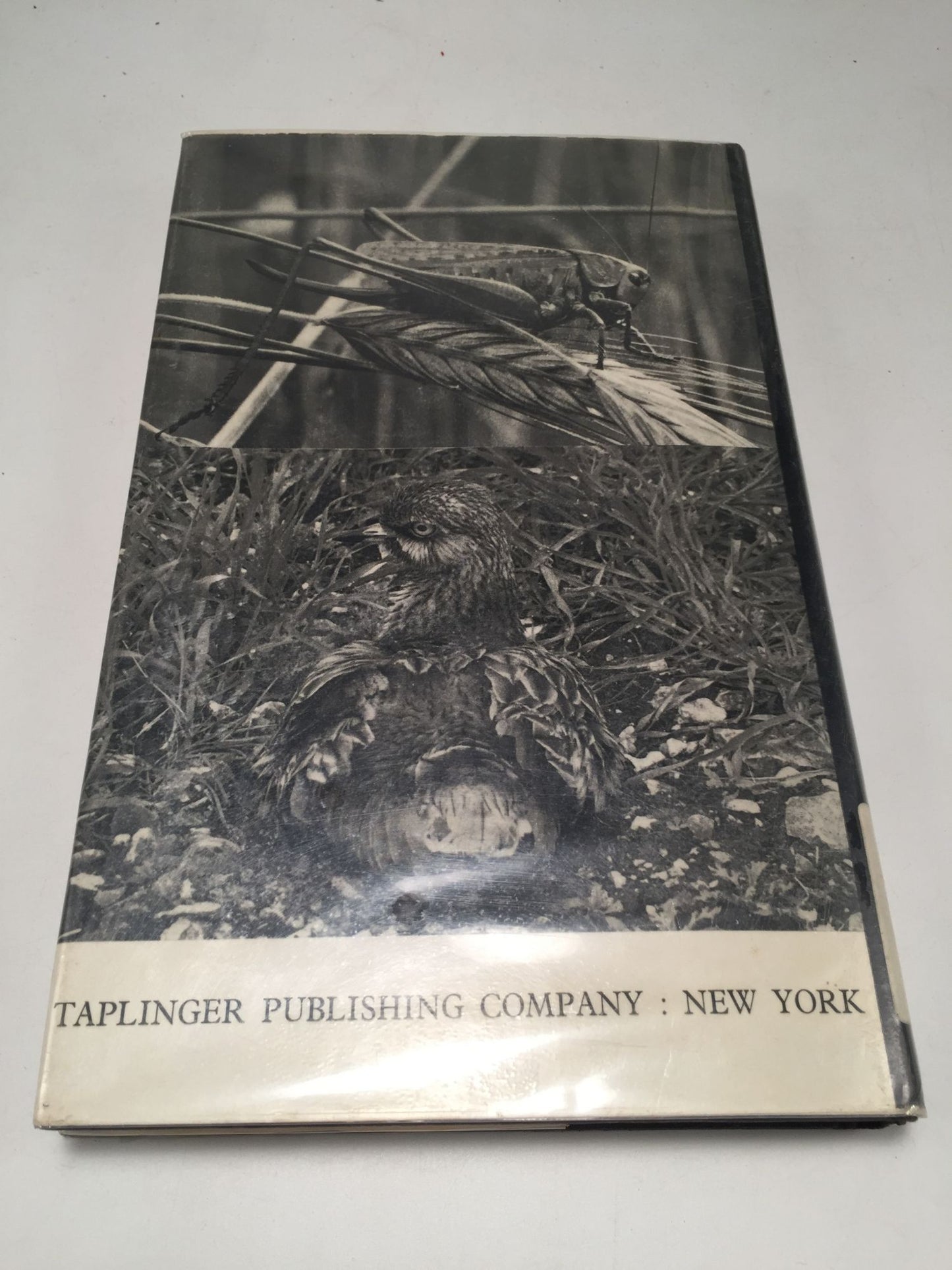 The Countryman Wild Life Book