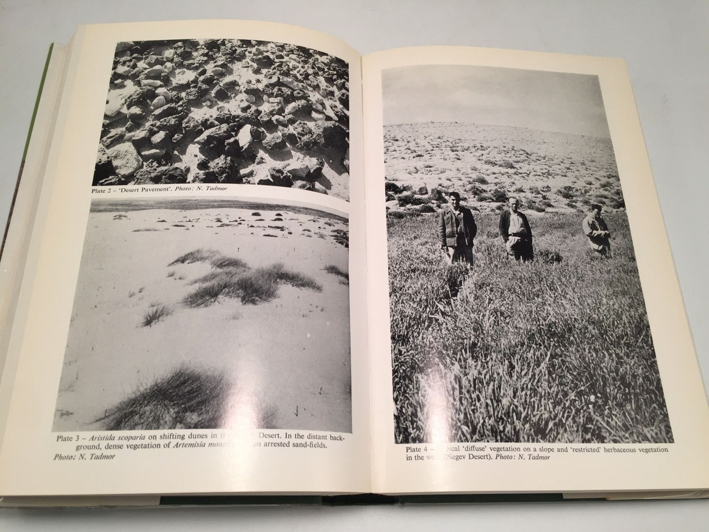 Crop Production In Dry Regions: Background & Principles (Volume 1)