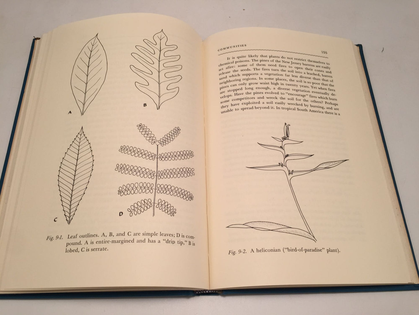 Adaptation and Diversity: Natural History and the Mathematics of Evolution