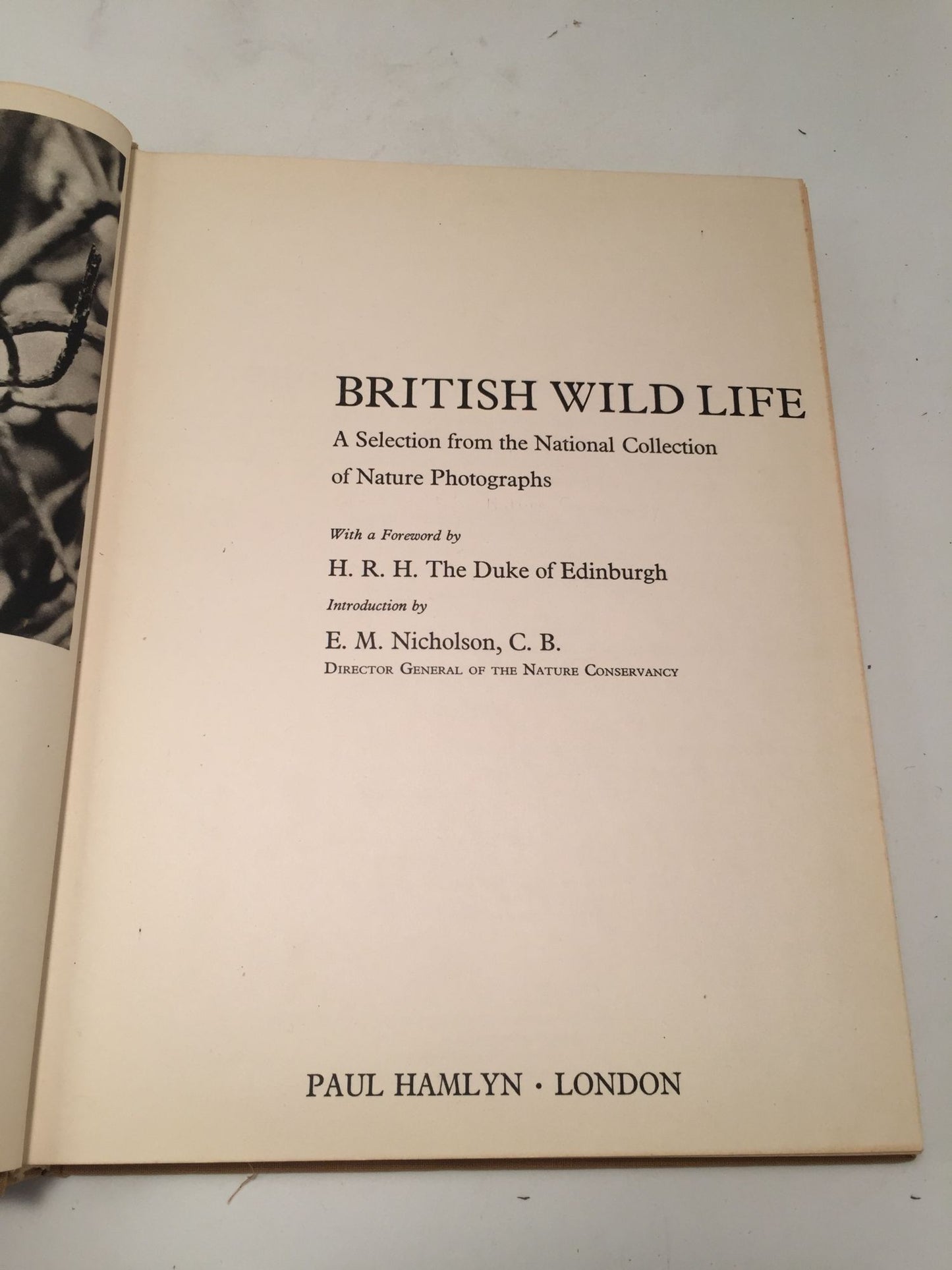 British Wild Life: A Selection from the National Collection of Nature Photographs