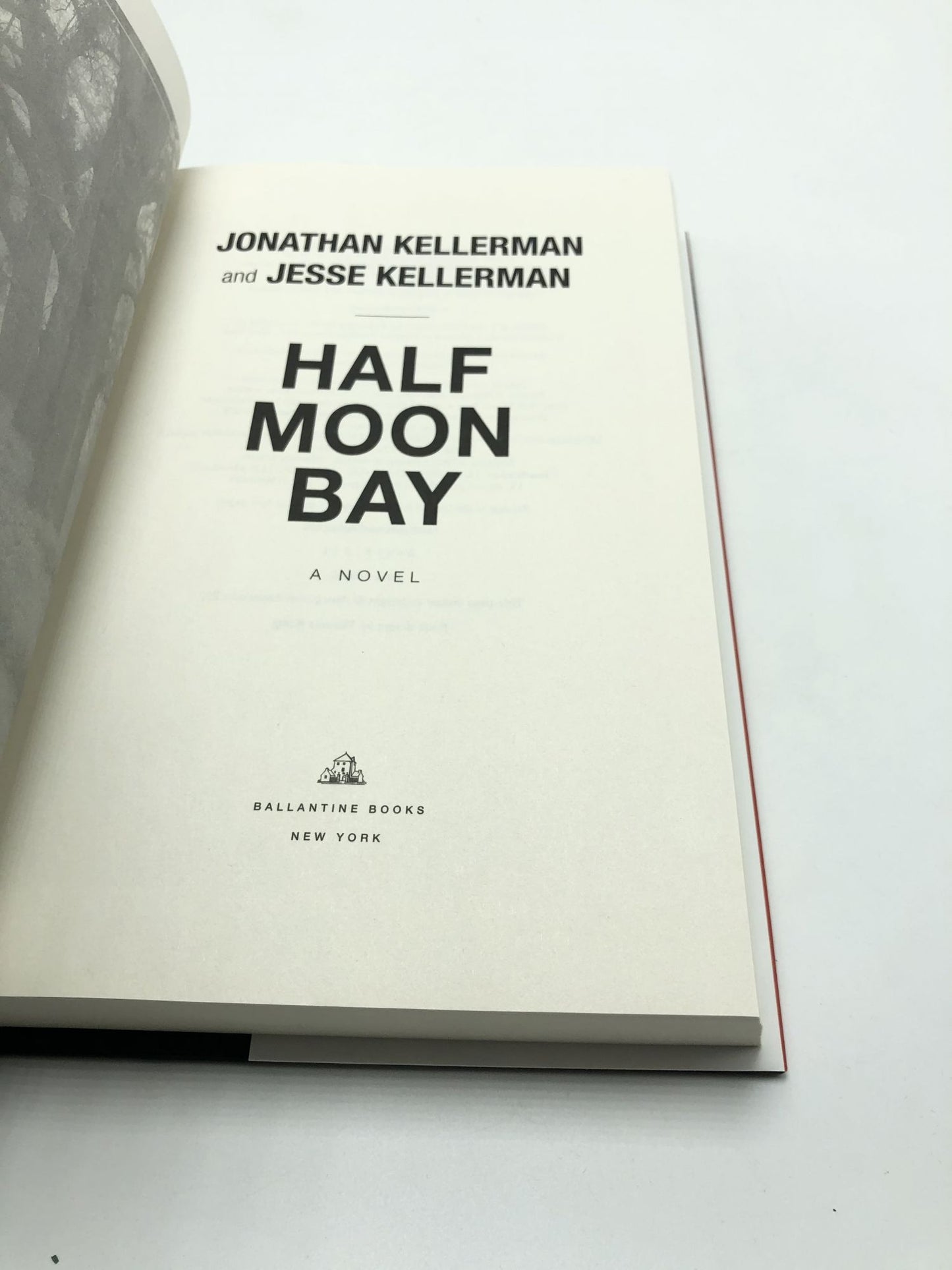 Half Moon Bay: A Novel (Clay Edison)