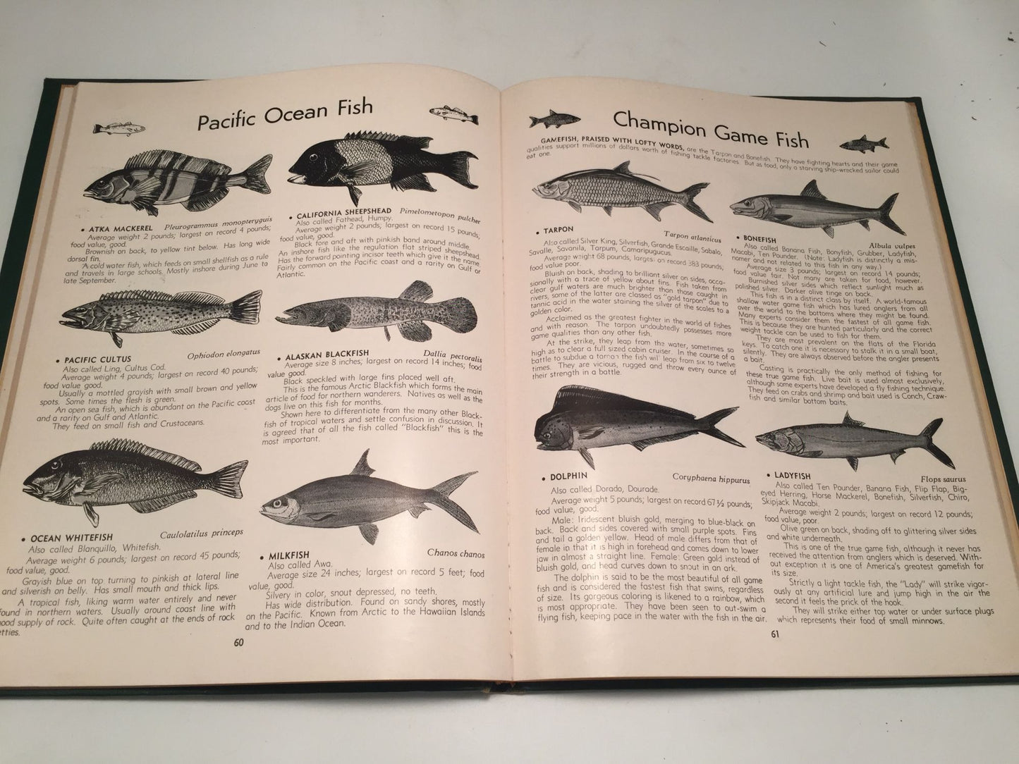 A Dictionary of Fishes
