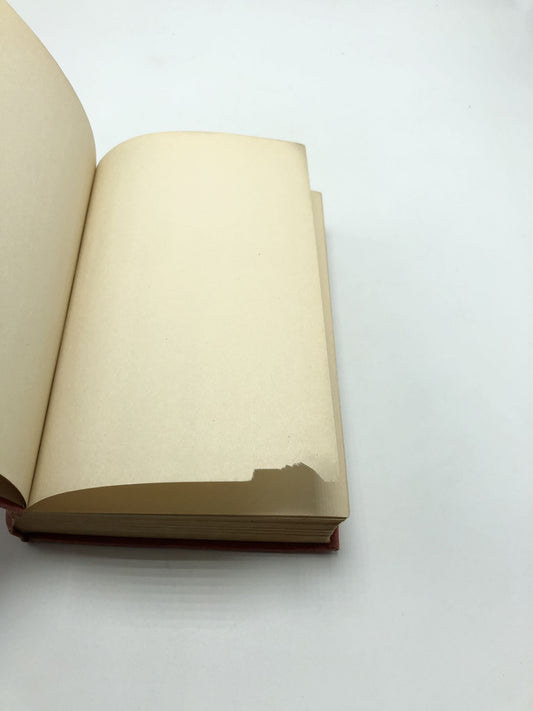 Rosa Mundi And Other Stories