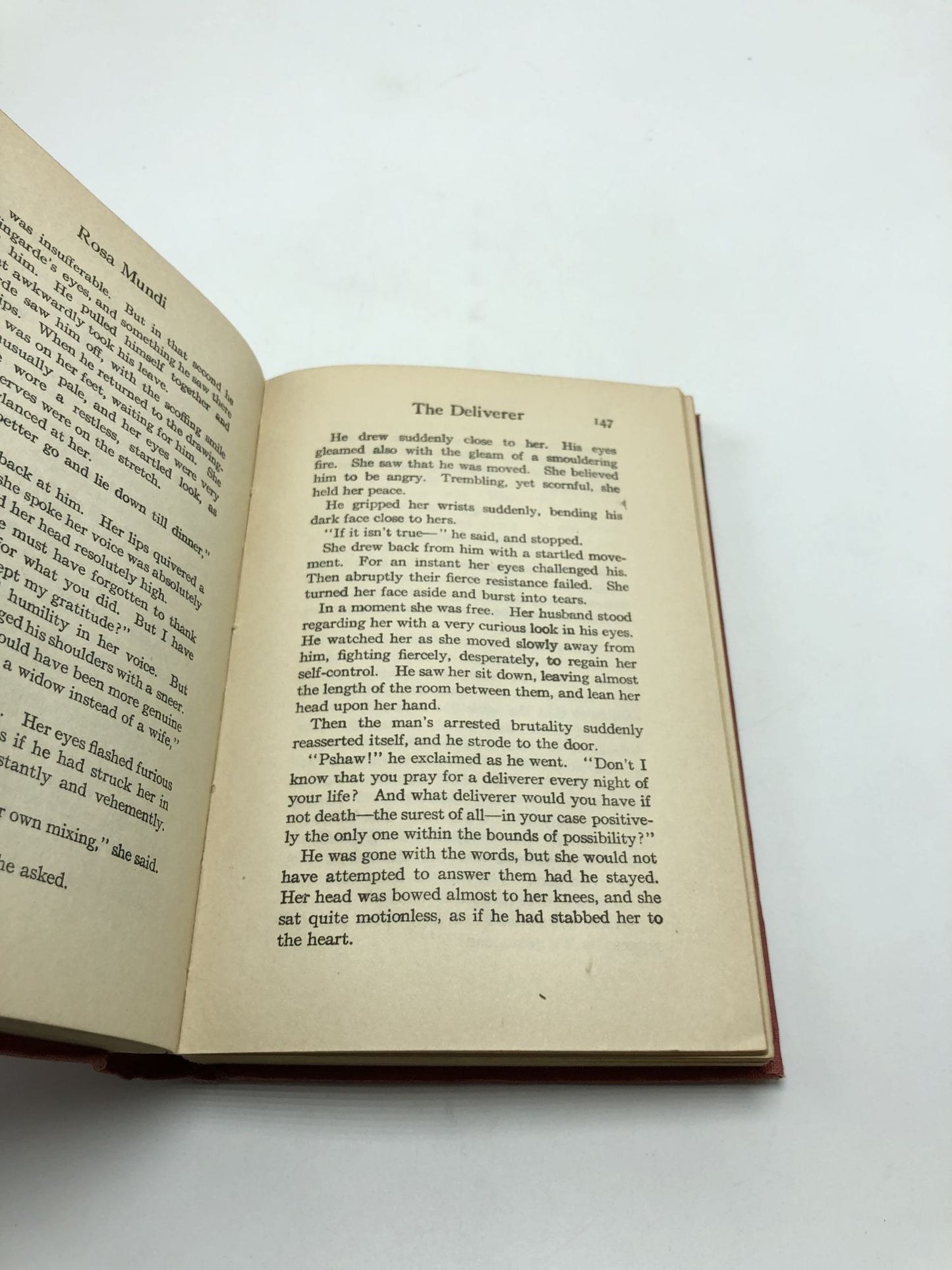 Rosa Mundi And Other Stories