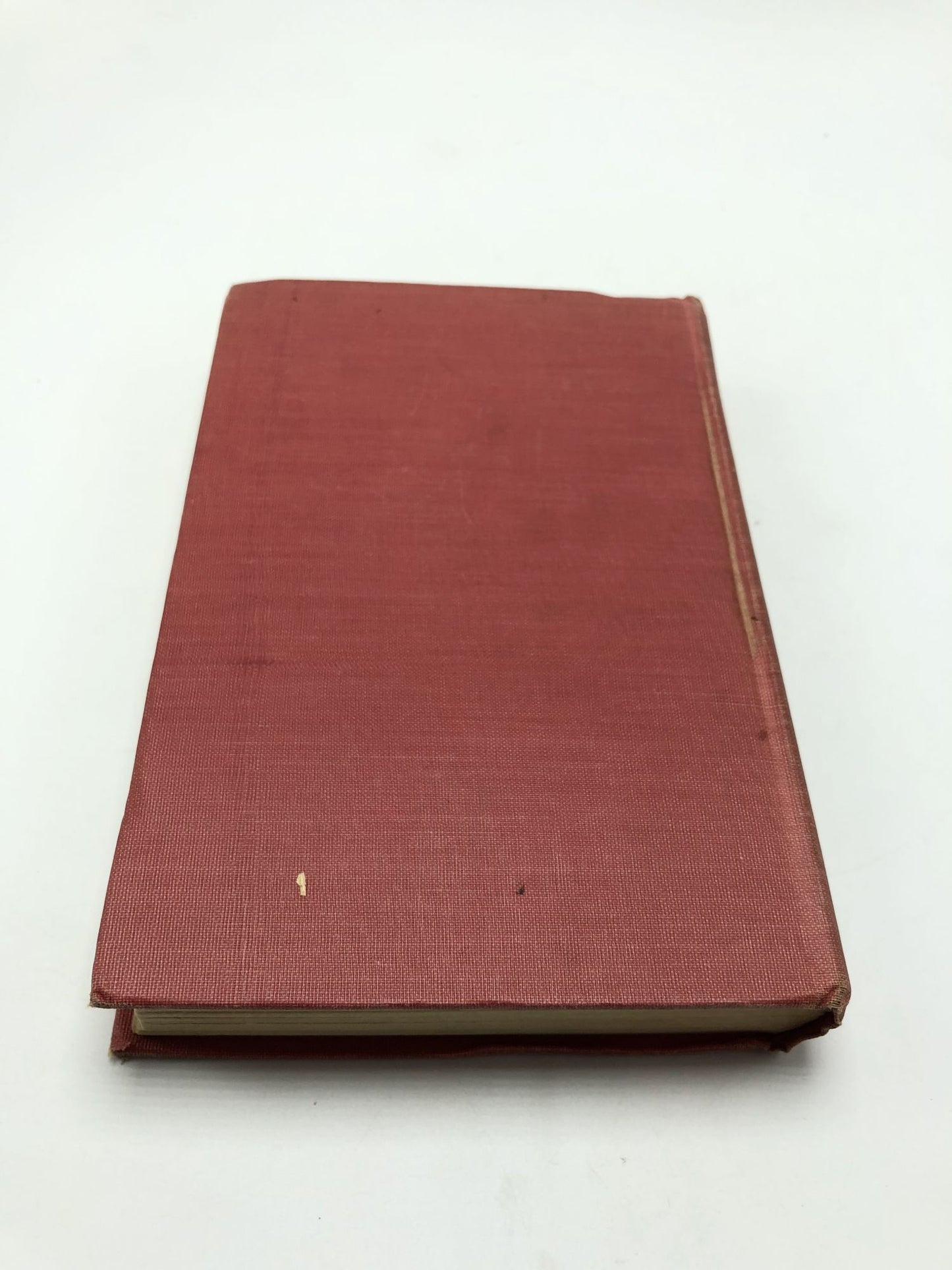 Rosa Mundi And Other Stories