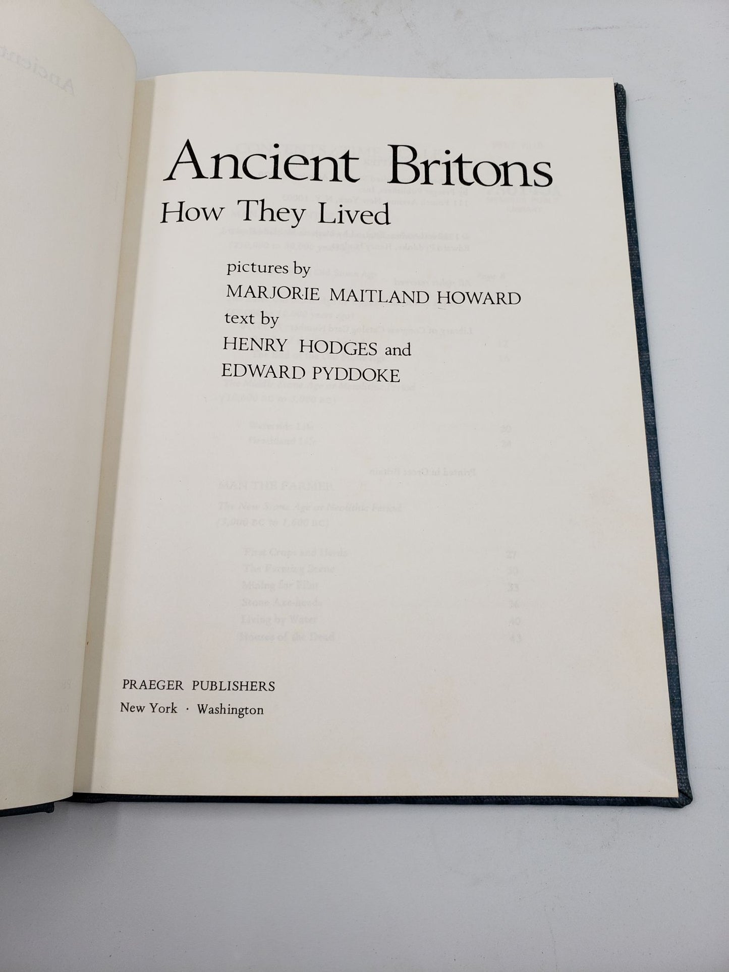 Ancient Britons: How They Lived