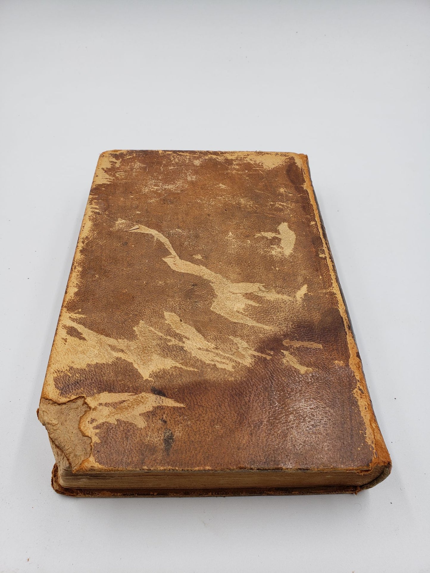 American Natural History: Mastology, Part 1 (Volume 1)