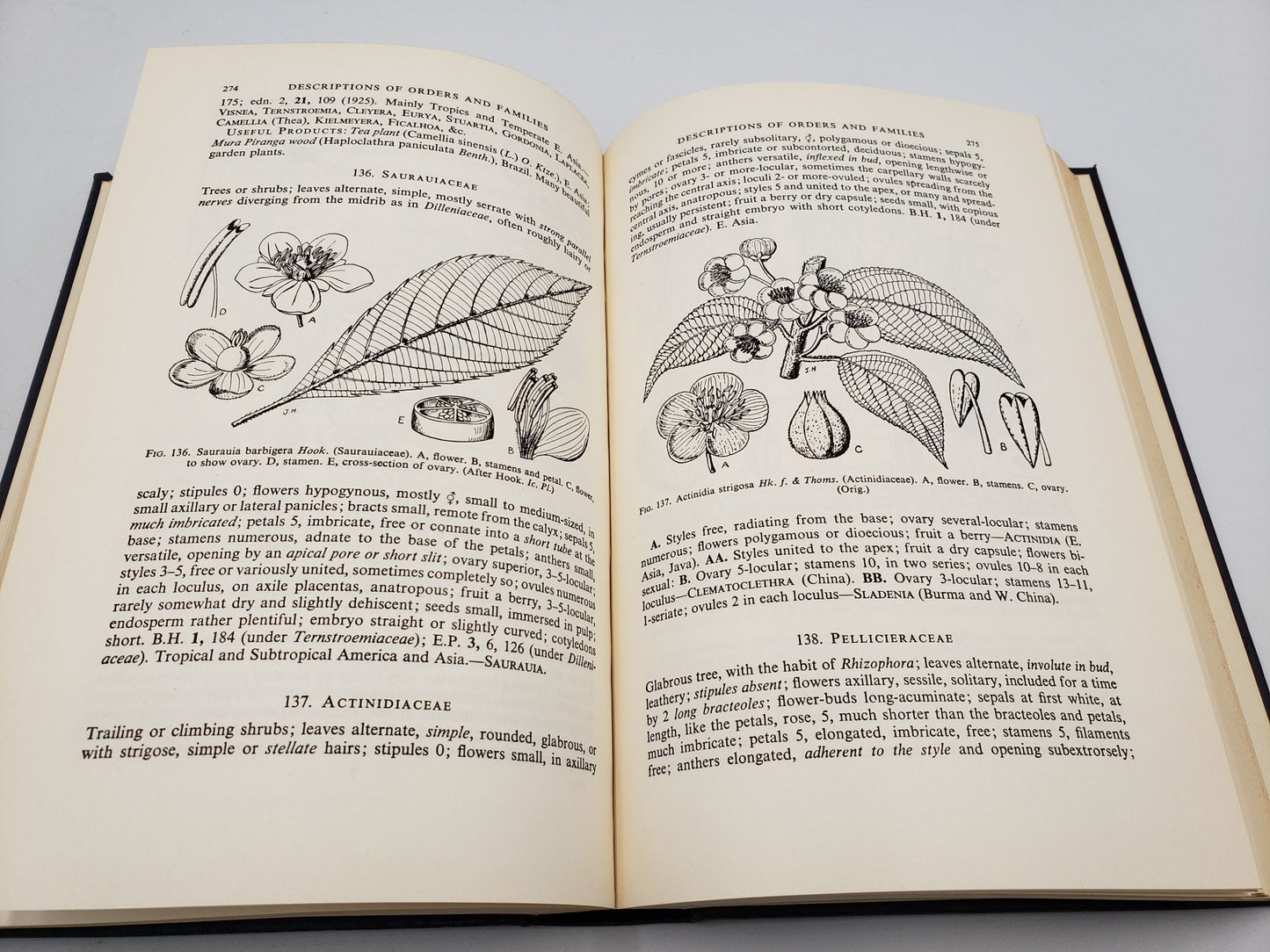 The Families of Flowering Plants: Dicotyledons (Volume 1)