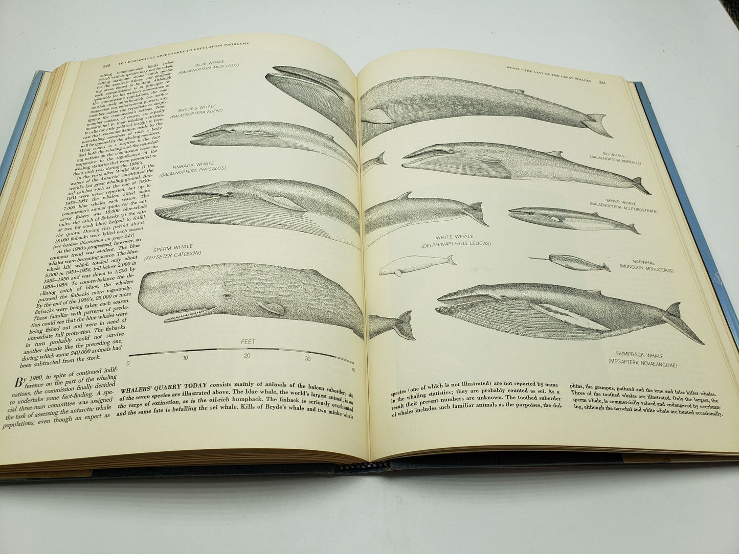 39 Steps to Biology: Readings from Scientific American