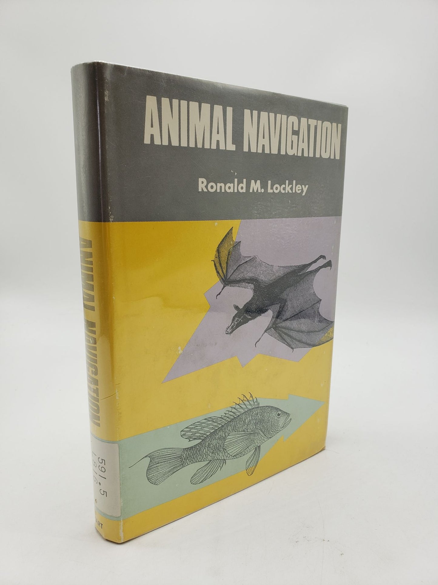Animal Navigation