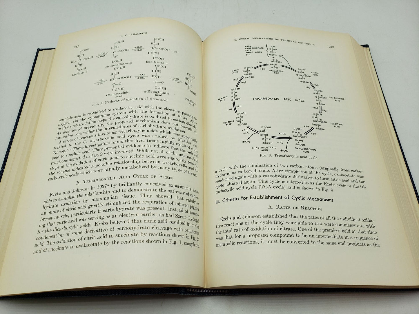 The Bacteria, A Treatise on Structure and Function: Metabolism (Volume 2)