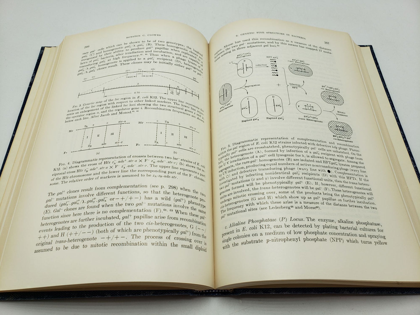 The Bacteria, A Treatise on Structure and Function: Heredity (Volume 5)