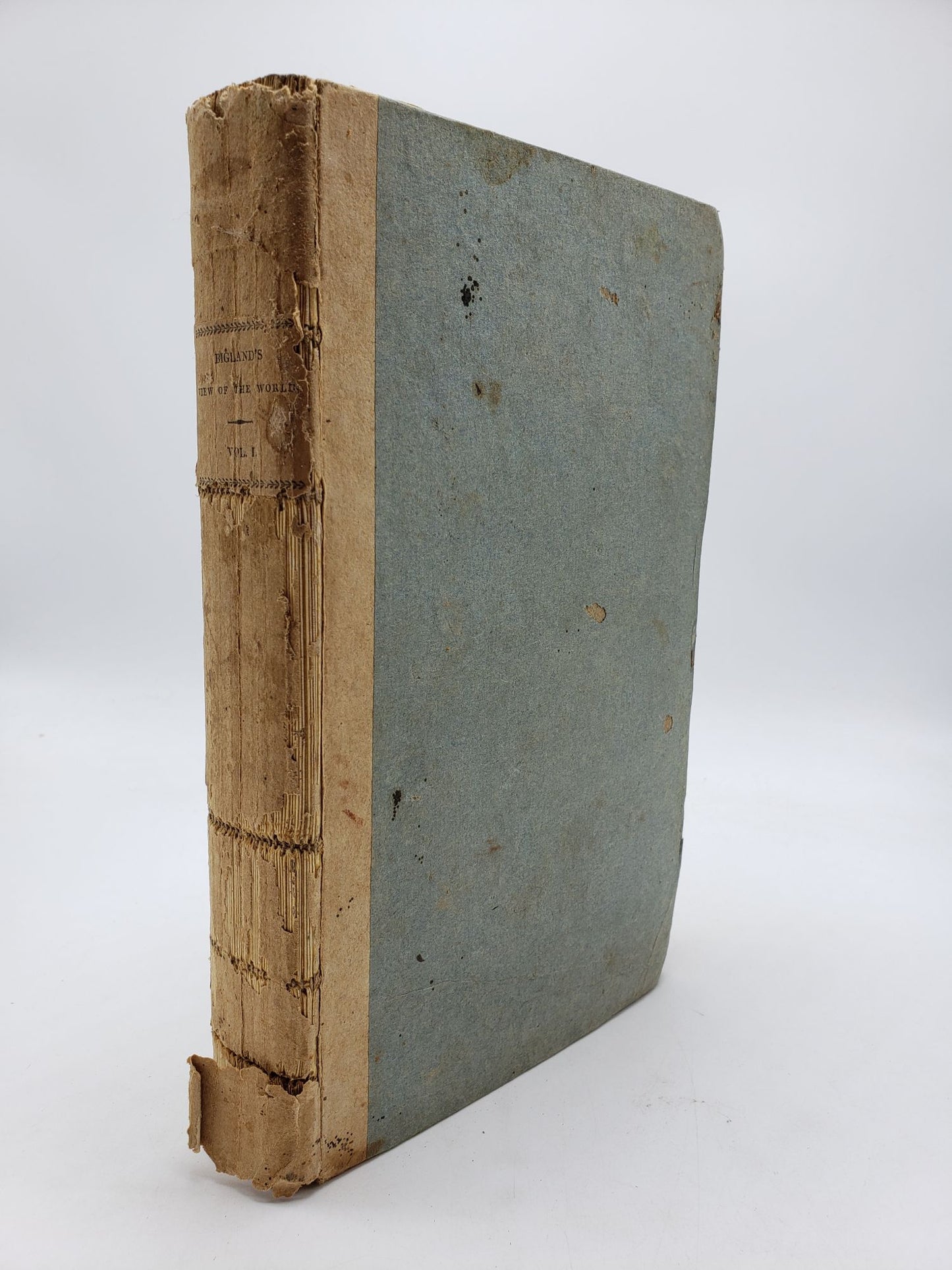 A Geographical And Historical View Of The World: Exhibiting A Complete Delineation of the Natural and Artificial Features of Each Country (Volume 1)