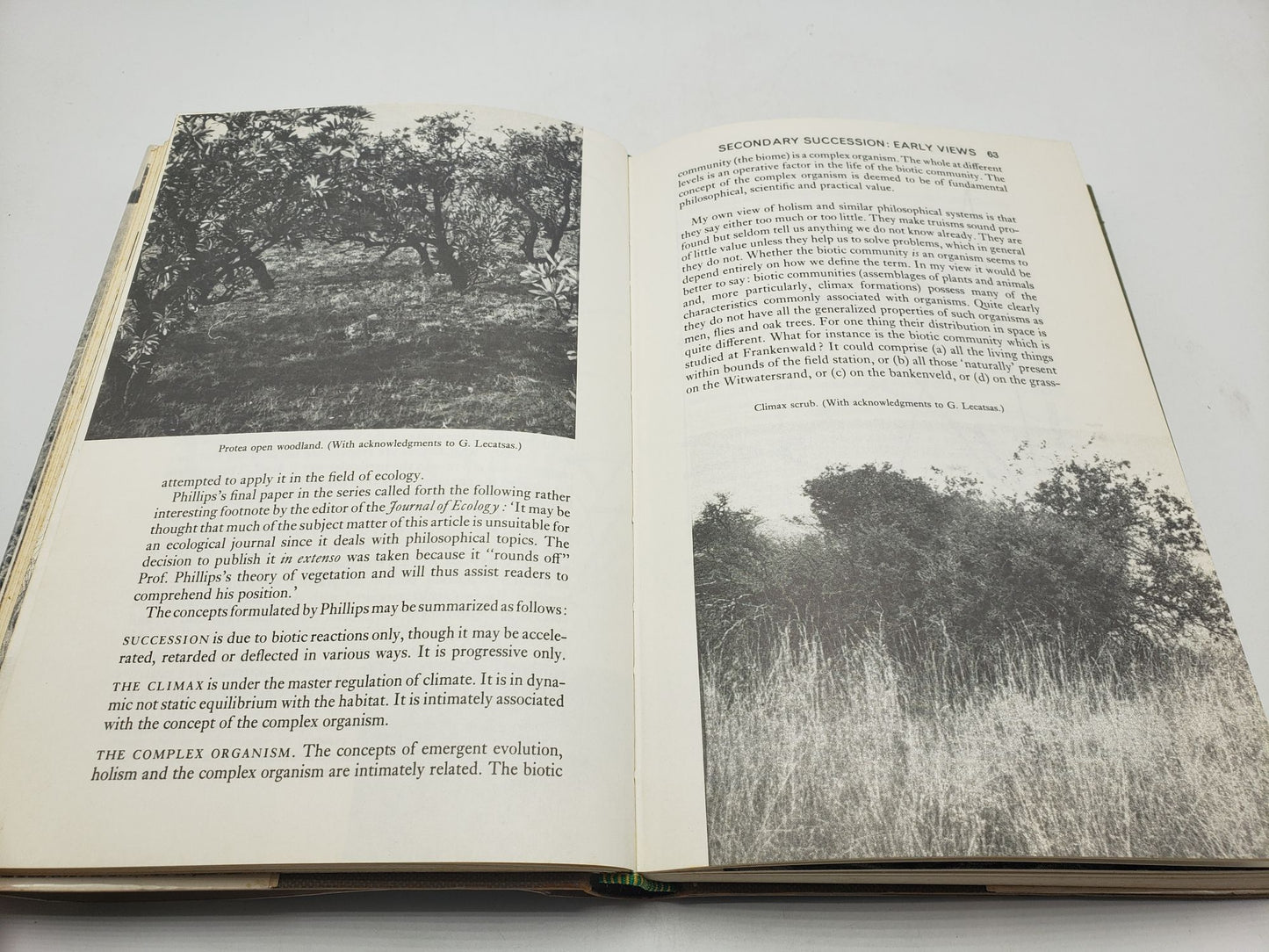 Grass: A Story of Frankenwald