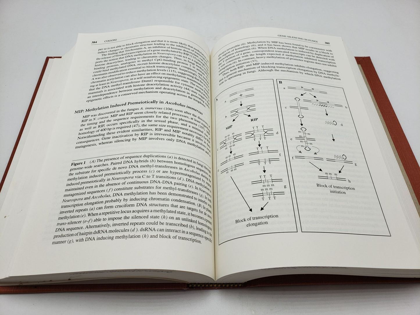 Annual Review of Microbiology: 2001 (Volume 55)